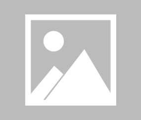 开云体育下载安装-国米最稳铁树开花！轮换中卫竟成蓝黑最佳引援？