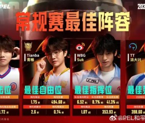 开云体育app下载-2025PEL夏季赛常规赛最佳阵容:天/青稚/Suk/派大兴